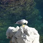 Casalmare Appartamento *